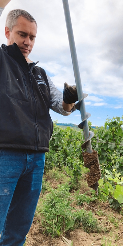 reconnaissance terroir champagne lombard