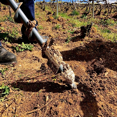 reconnaissance terroir champagne lombard